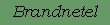 Brandnetel