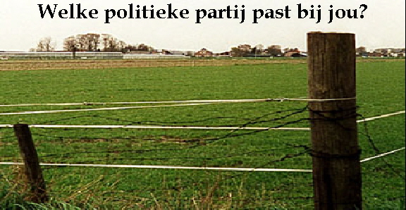 Welke politieke partij past bij jou?